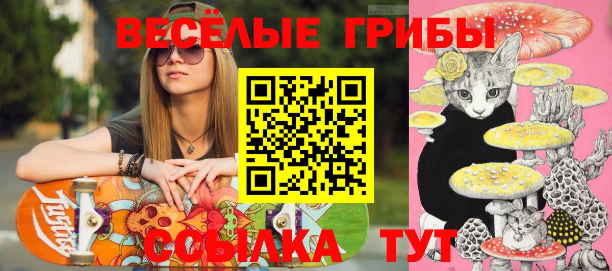 Псилоцибиновые грибы Cubensis Заречный