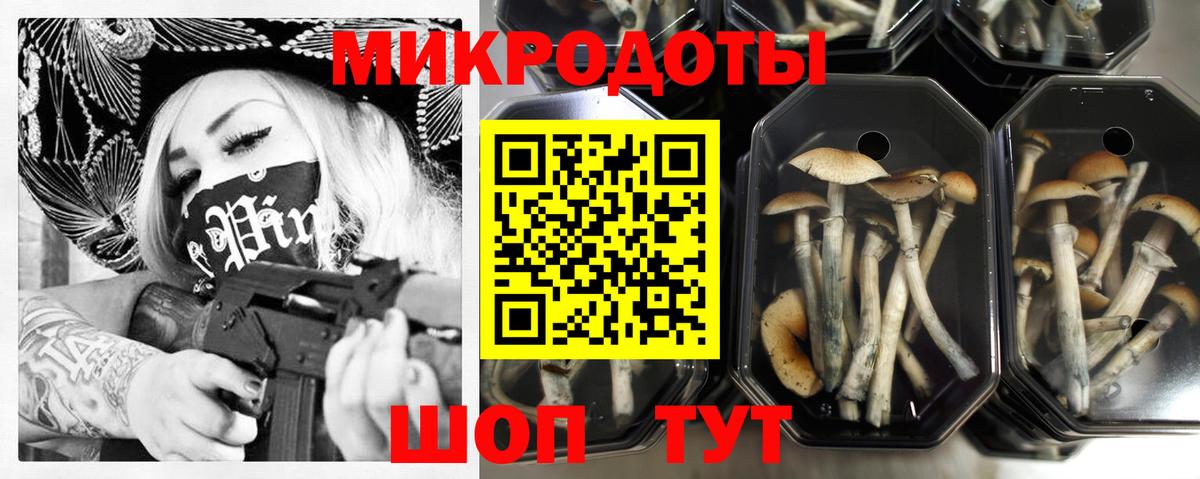 Заречный  Псилоцибиновые грибы Magic Shrooms  Вход с VPN 