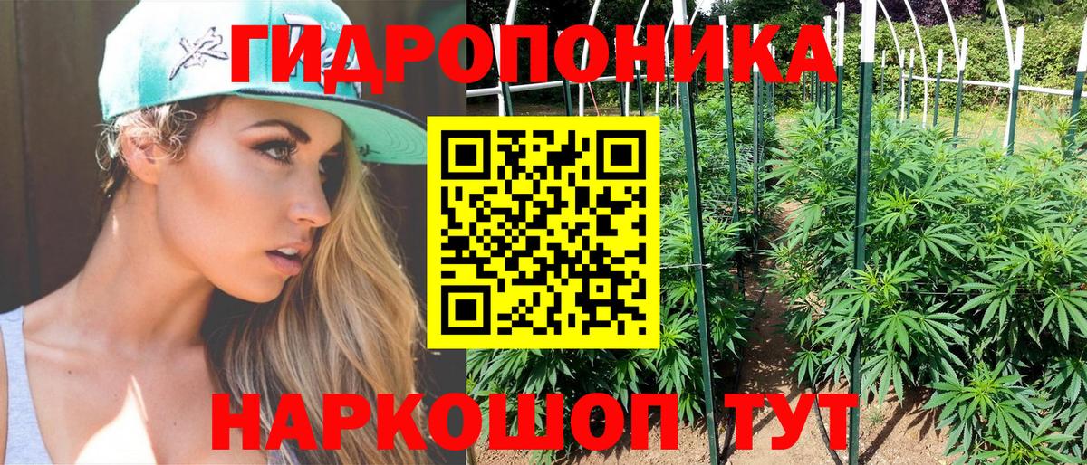 Каннабис сатива  Марихуана VHQ  Бошки Шишки марихуана  Заречный  Вход с VPN 